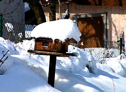 Schnee - nicht in Düsseldorf