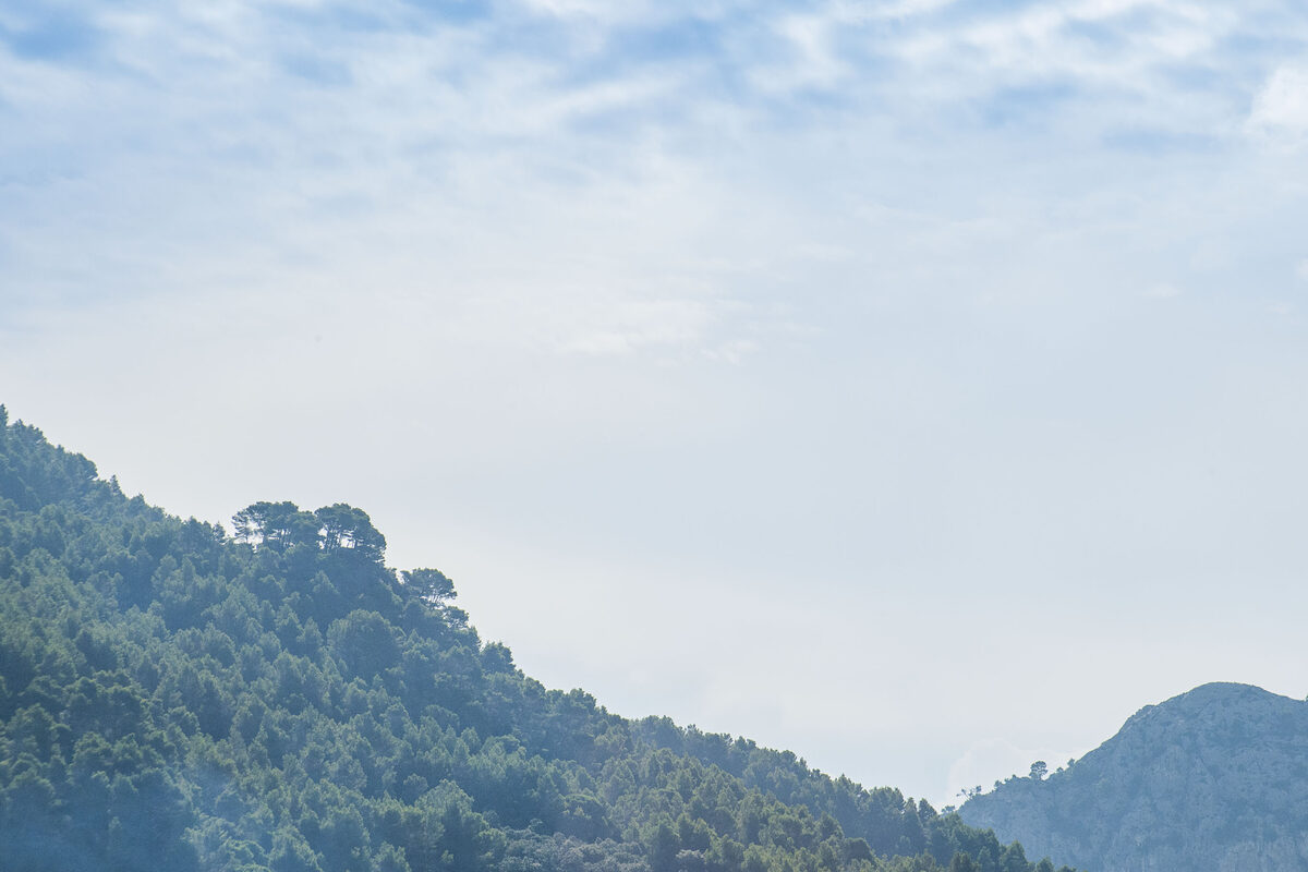Bewaldete Berglandschaft bei Valldemossa unter hellem Himmel